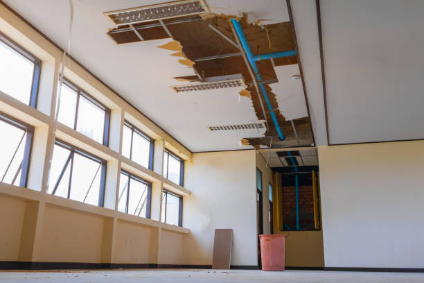 Best Water damage restoration experts  in Spring City, UT