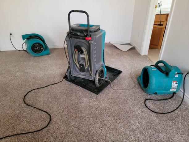 Best Water damage cleanup near me  in Spring City, UT