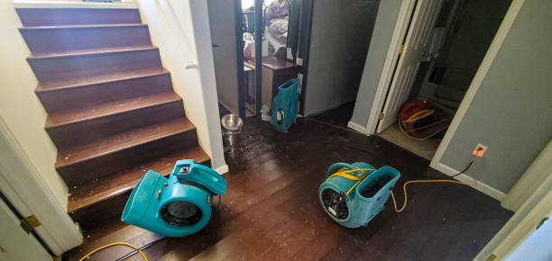 Best Water damage restoration near me  in Spring City, UT
