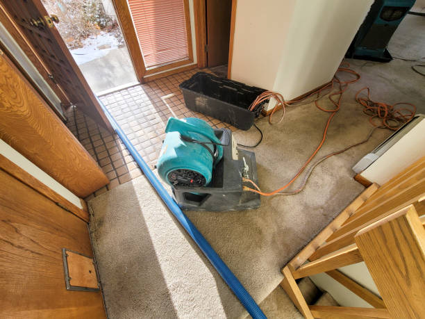Best Water damage restoration mold remediation  in Spring City, UT