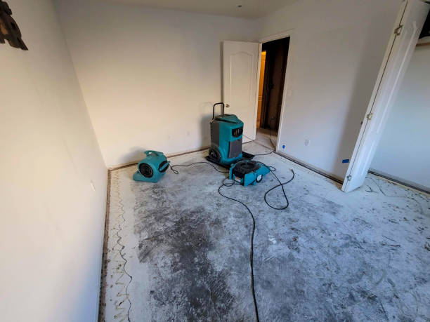 Best Water damage restoration mold remediation  in Spring City, UT