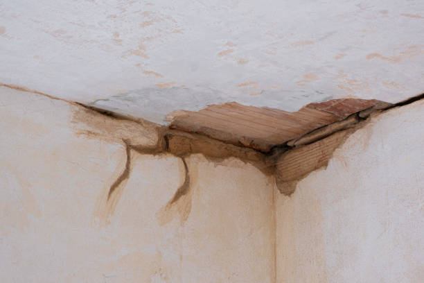 Best Water damage restoration process  in Spring City, UT