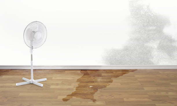 Best Water damage restoration near me  in Spring City, UT