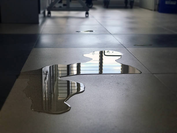 Best Water damage restoration company  in Spring City, UT