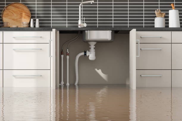 Best Ceiling water damage repair  in Spring City, UT