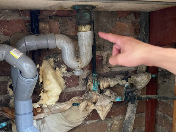 Water damage restoration mold remediation in Spring City, UT