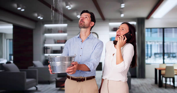 Best Carpet water damage restoration  in Spring City, UT
