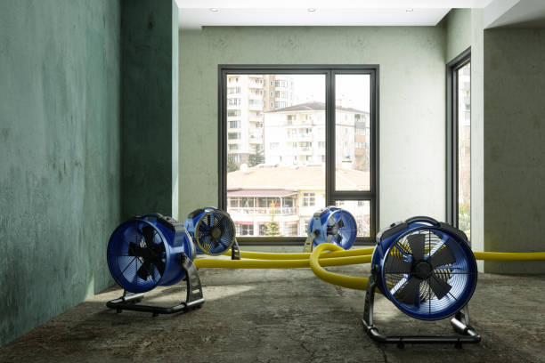 Best Local water damage restoration  in Spring City, UT