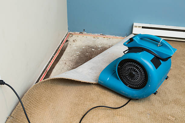 Water damage restoration insurance claims in Spring City, UT