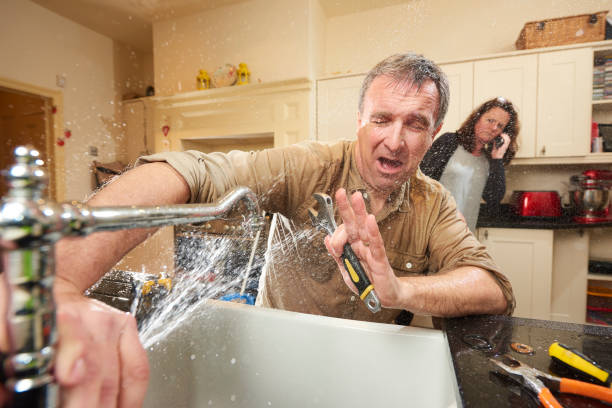 Best Sewage cleanup and water damage restoration  in Spring City, UT